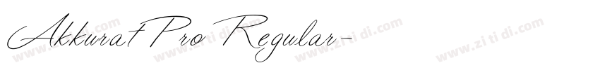 AkkuratPro Regular字体转换